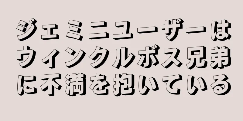 ジェミニユーザーはウィンクルボス兄弟に不満を抱いている