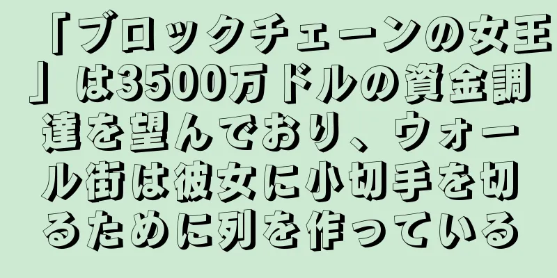 「ブロックチェーンの女王」は3500万ドルの資金調達を望んでおり、ウォール街は彼女に小切手を切るために列を作っている