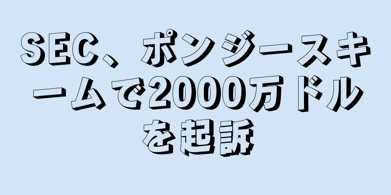 SEC、ポンジースキームで2000万ドルを起訴