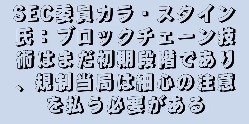 SEC委員カラ・スタイン氏：ブロックチェーン技術はまだ初期段階であり、規制当局は細心の注意を払う必要がある