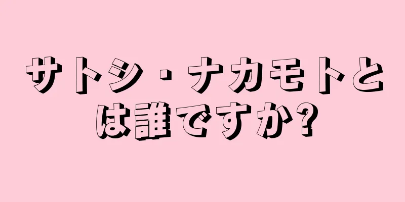 サトシ・ナカモトとは誰ですか?