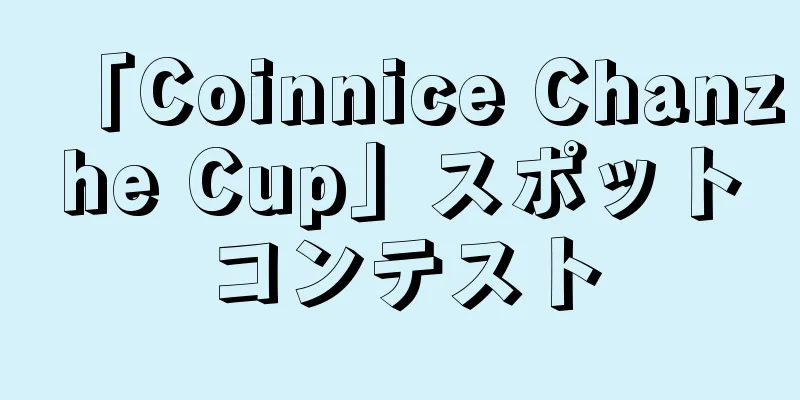 「Coinnice Chanzhe Cup」スポットコンテスト