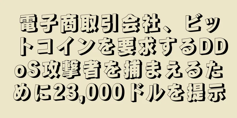 電子商取引会社、ビットコインを要求するDDoS攻撃者を捕まえるために23,000ドルを提示