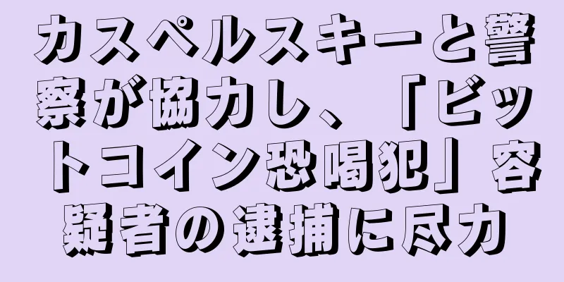 カスペルスキーと警察が協力し、「ビットコイン恐喝犯」容疑者の逮捕に尽力
