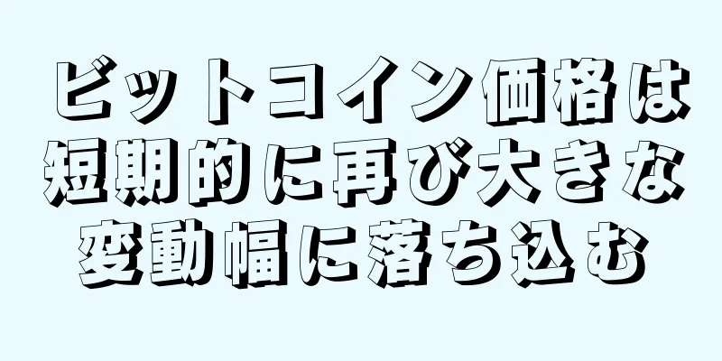 ビットコイン価格は短期的に再び大きな変動幅に落ち込む