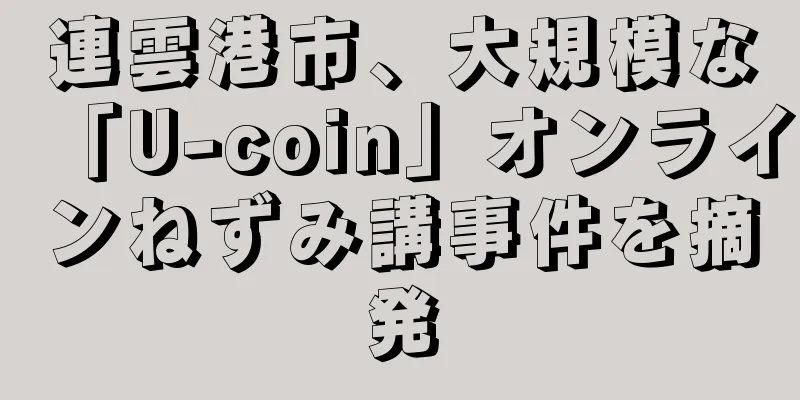 連雲港市、大規模な「U-coin」オンラインねずみ講事件を摘発