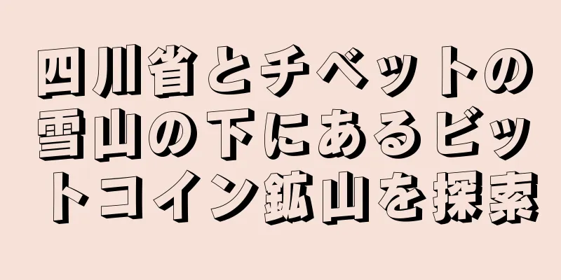四川省とチベットの雪山の下にあるビットコイン鉱山を探索