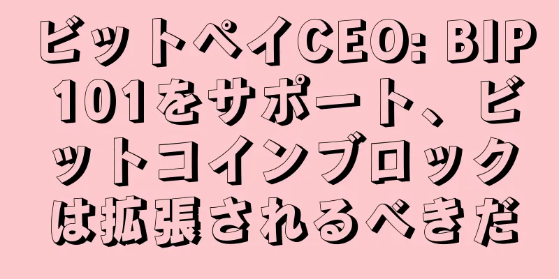 ビットペイCEO: BIP 101をサポート、ビットコインブロックは拡張されるべきだ