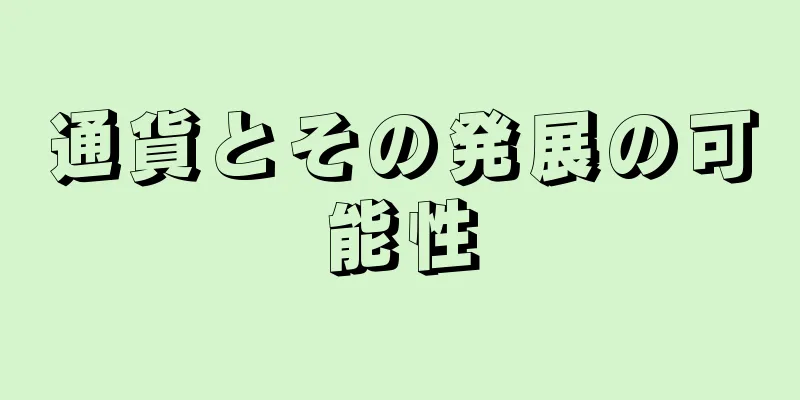 通貨とその発展の可能性