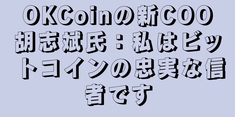 OKCoinの新COO胡志斌氏：私はビットコインの忠実な信者です