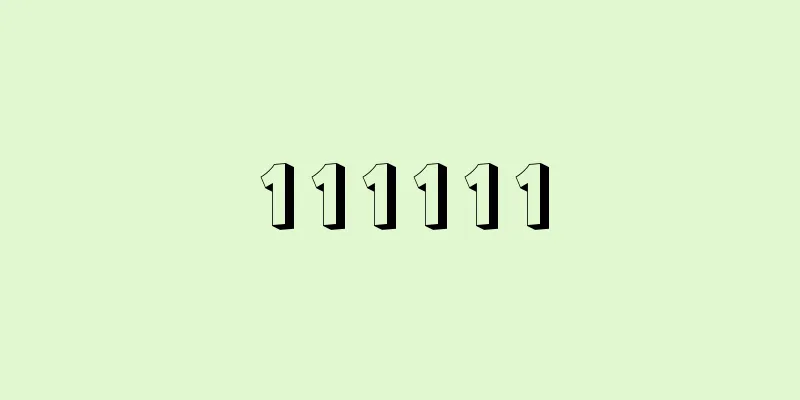 111111