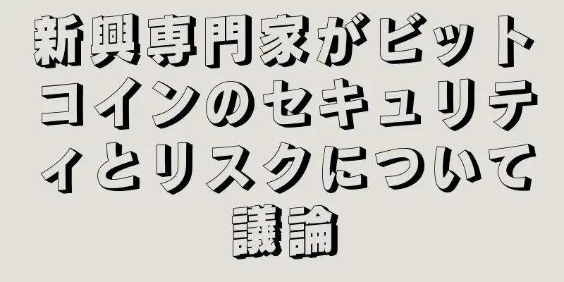 新興専門家がビットコインのセキュリティとリスクについて議論