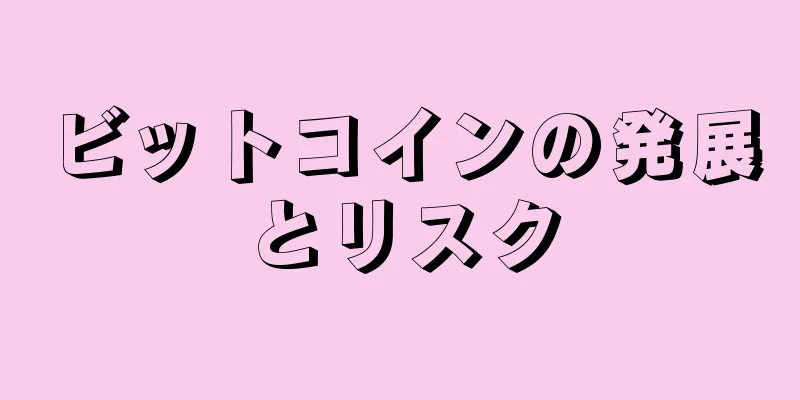 ビットコインの発展とリスク