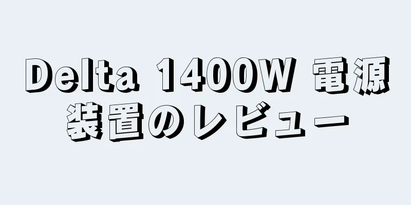 Delta 1400W 電源装置のレビュー