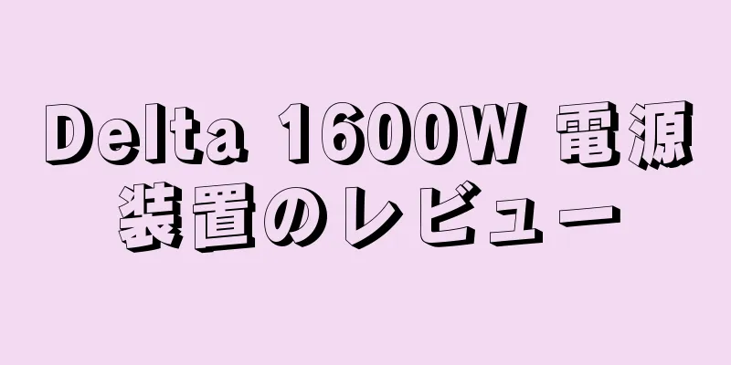Delta 1600W 電源装置のレビュー